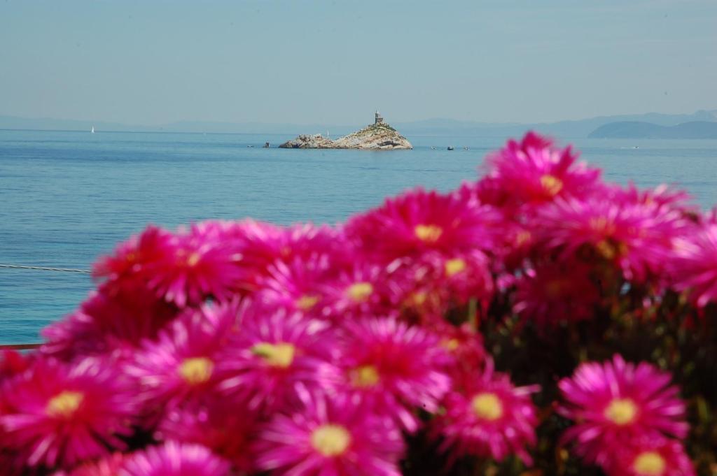 Ombrosa Portoferraio